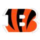 cincinnati bengals tickets